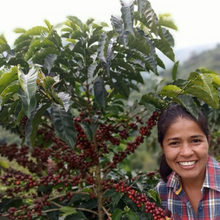 Load image into Gallery viewer, Colombia Quindio - Women's Coffee (IWCA)
