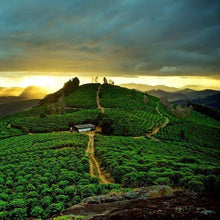 Load image into Gallery viewer, Brazil Fazenda Dutra - Organic USDA