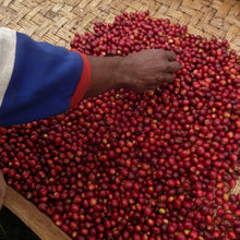 Load image into Gallery viewer, Papua New Guinea specialty coffee
