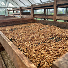 Load image into Gallery viewer, Colombia Risaralda