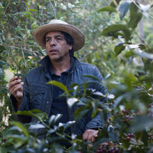 Load image into Gallery viewer, Costa Rica Don Eli - Cup of Excellence