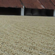 Load image into Gallery viewer, Guatemala Huehuetenango - Fully Washed