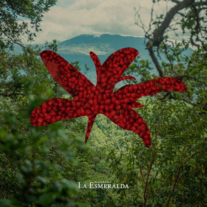 Panama Esmeralda Special Auction - Noria San José
