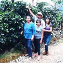 Load image into Gallery viewer, Costa Rica Tarrazu Familia Monge Micro Lot  - Natural
