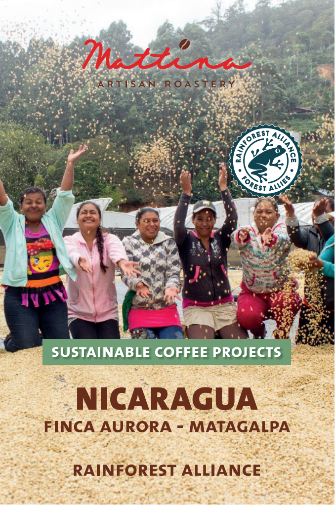 Nicaragua Finca Aurora, Matagalpa - Rainforest Alliance