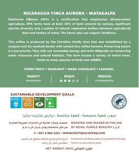 Nicaragua Finca Aurora, Matagalpa - Rainforest Alliance