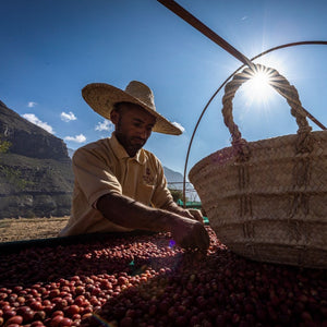 coffee farmers from yemen 